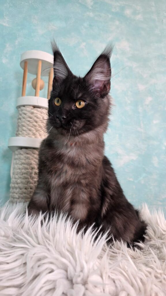 Ragnar