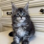 Liliya thumbnail