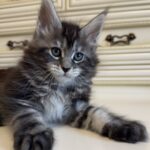 Liliya thumbnail