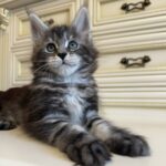 Liliya thumbnail