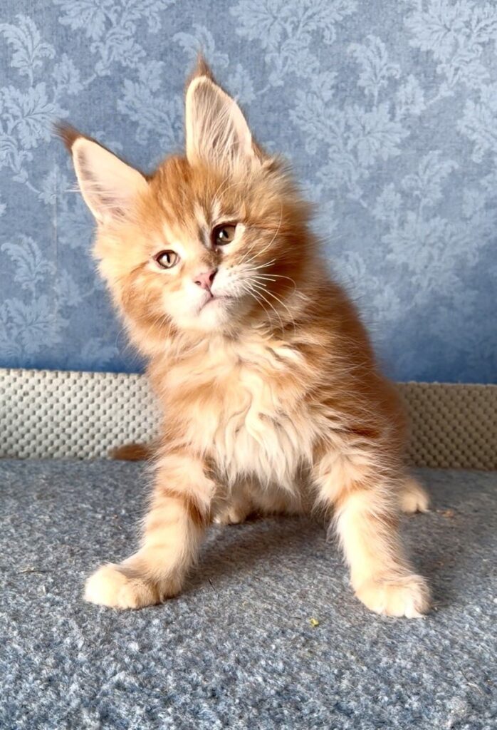 Marzipan