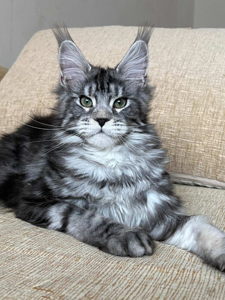 Vostok reserved for Karissa