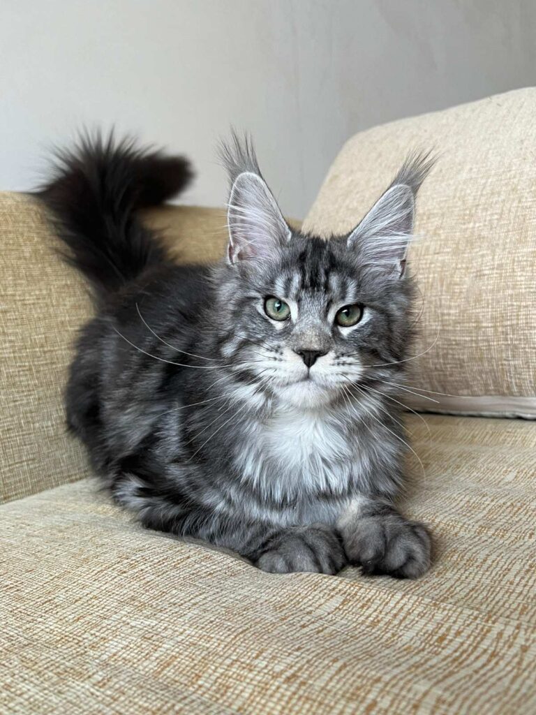 Vostok reserved for Karissa