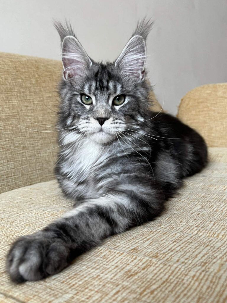 Vostok reserved for Karissa