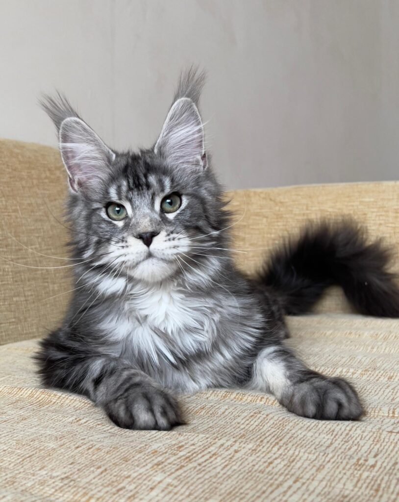 Vostok reserved for Karissa