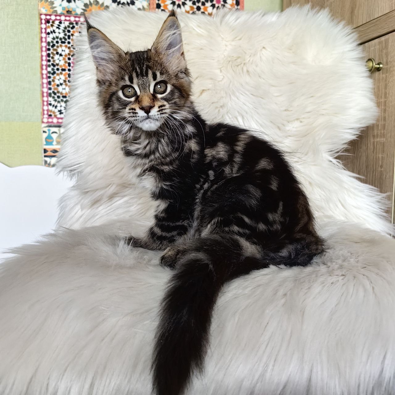 Habanera R thumbnail