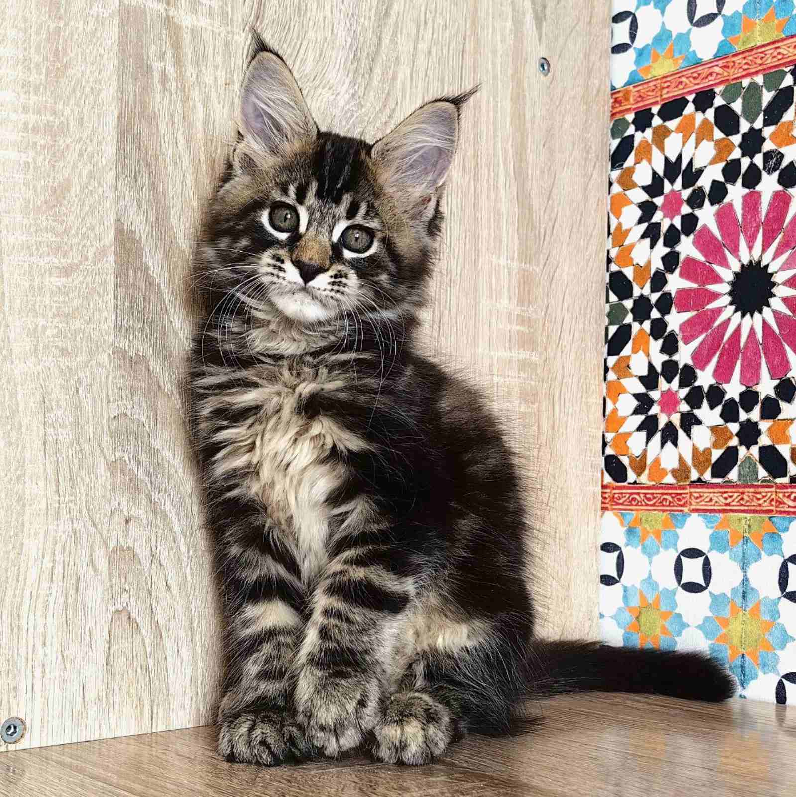 Habanera R thumbnail