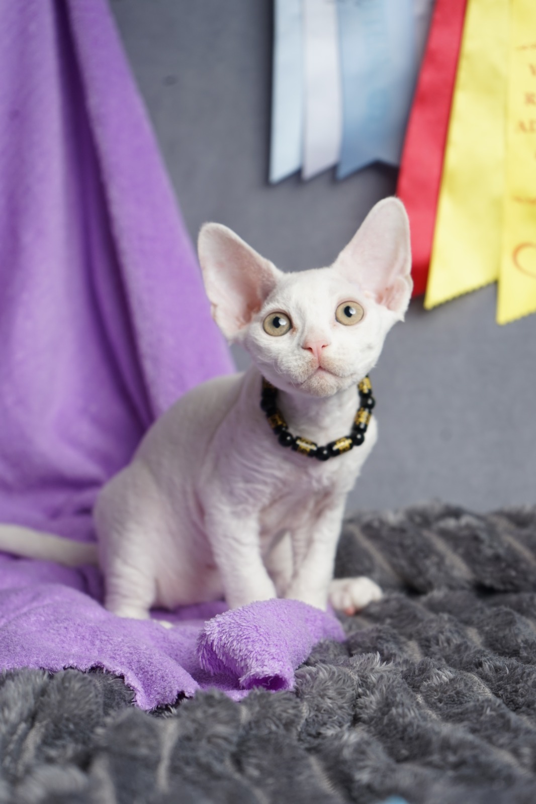 Iney after 03/20 thumbnail