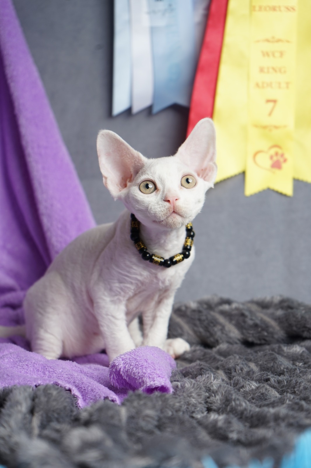 Iney after 03/20 thumbnail