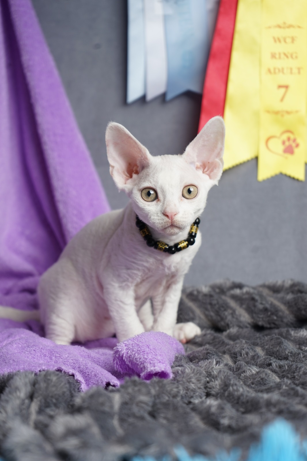 Iney after 03/20 thumbnail