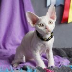 Iney after 03/20 thumbnail