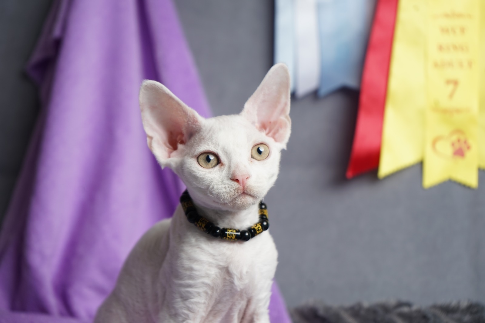 Iney after 03/20 thumbnail