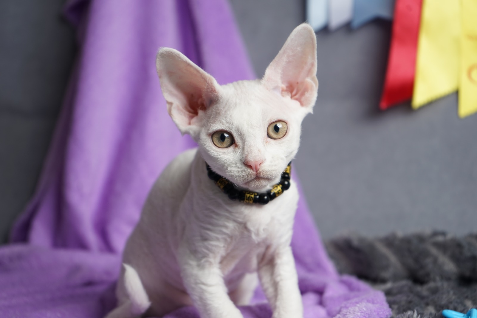 Iney after 03/20 thumbnail