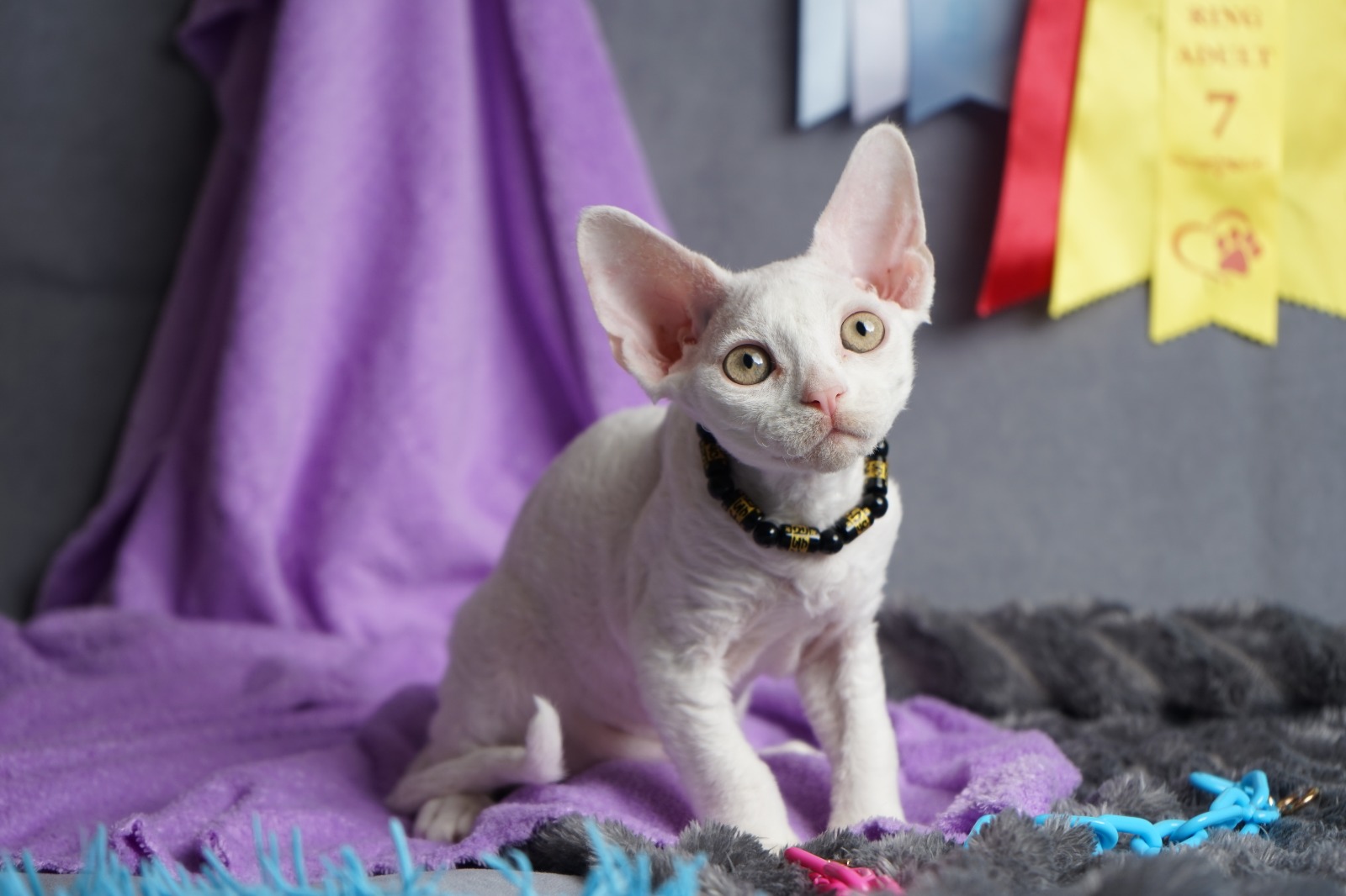 Iney after 03/20 thumbnail