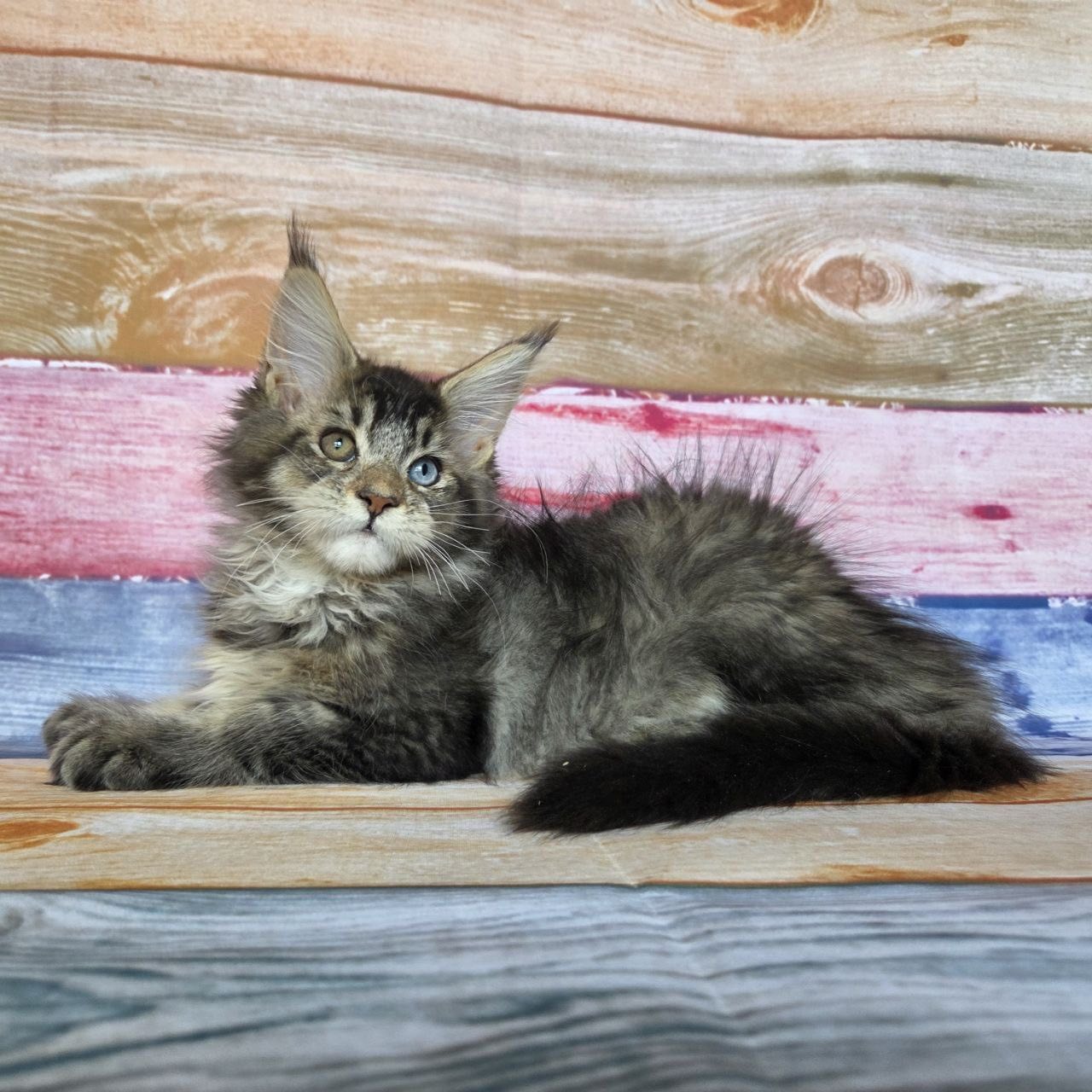 Nectarin R thumbnail