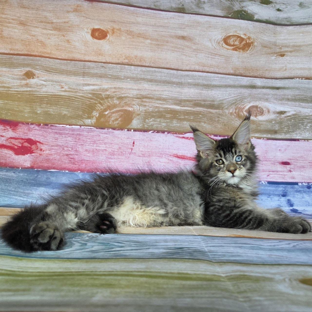 Nectarin R thumbnail