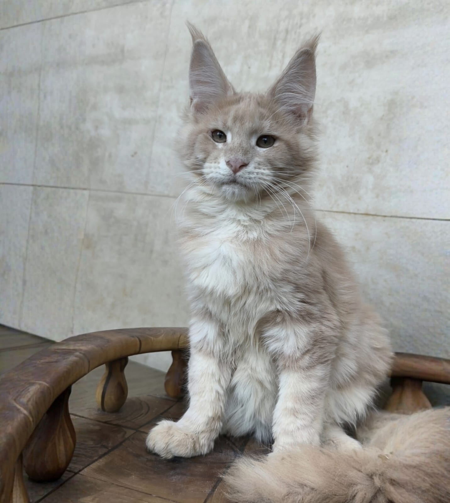 Kamila after 04/07 thumbnail