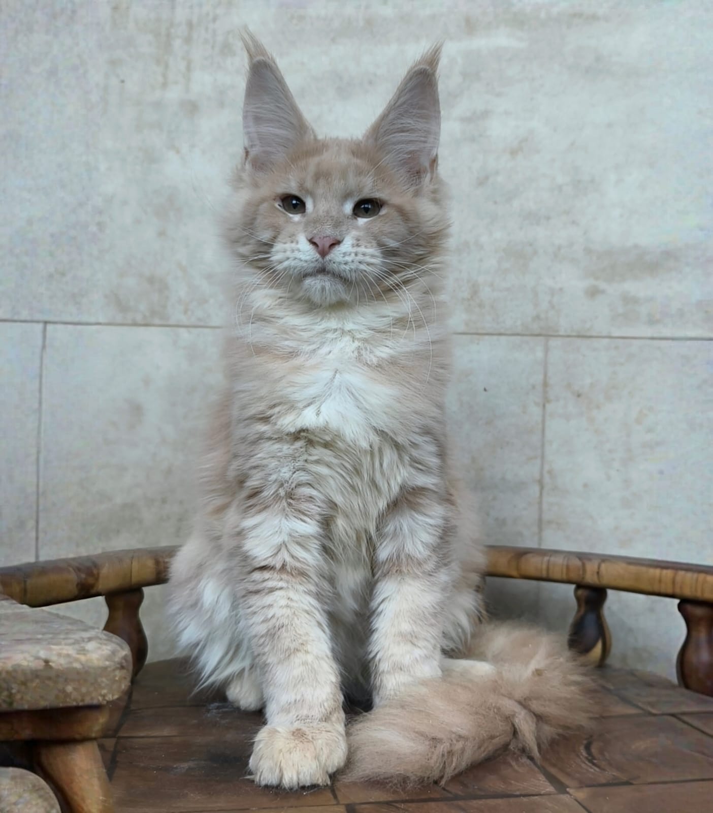 Kamila after 04/07 thumbnail