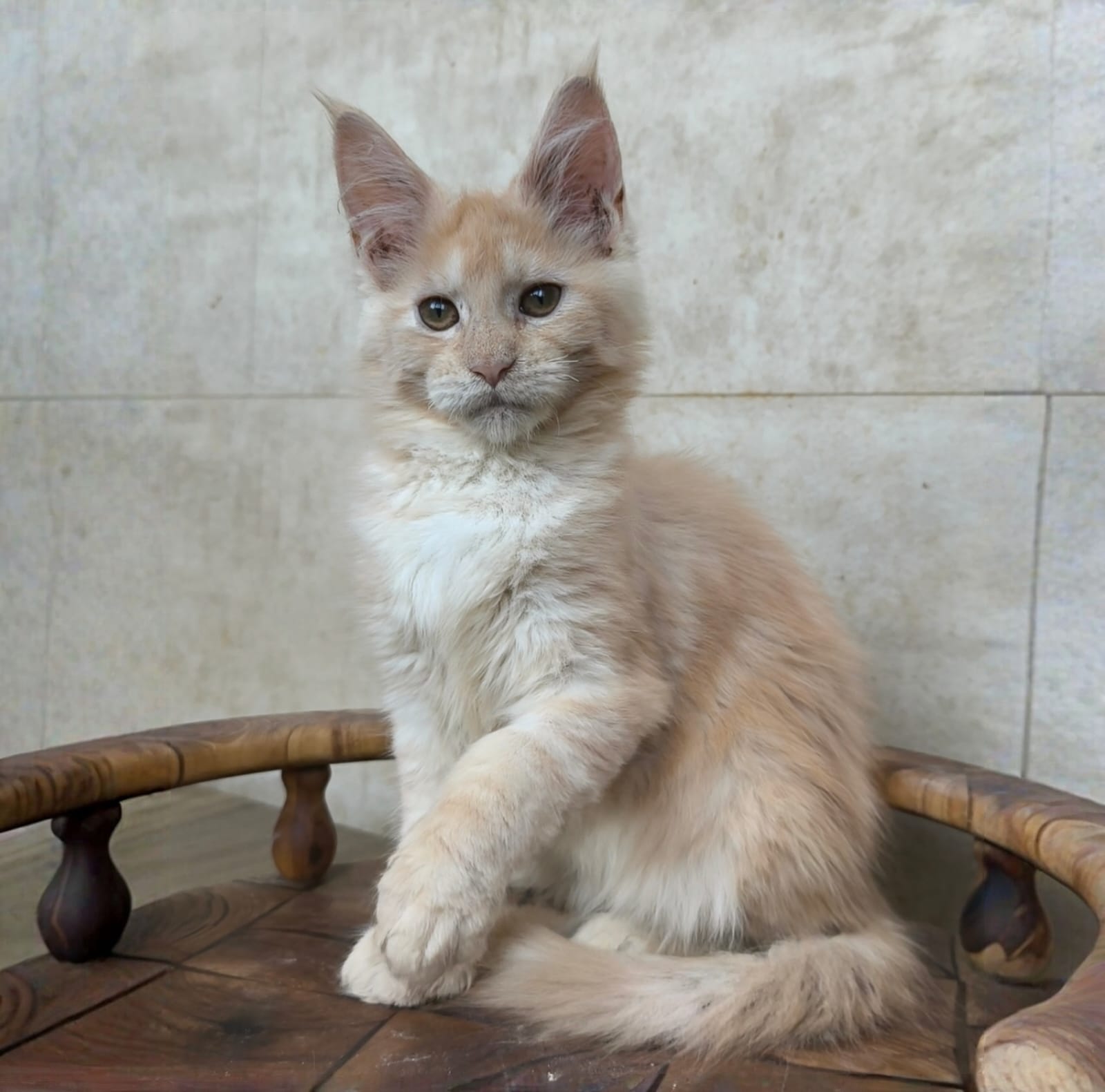 Kiki after 04/07 thumbnail