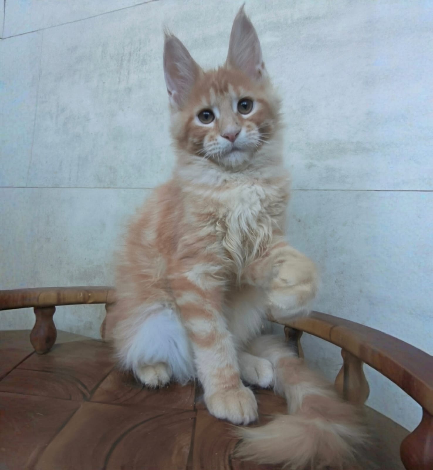 Kira after 04/07 thumbnail