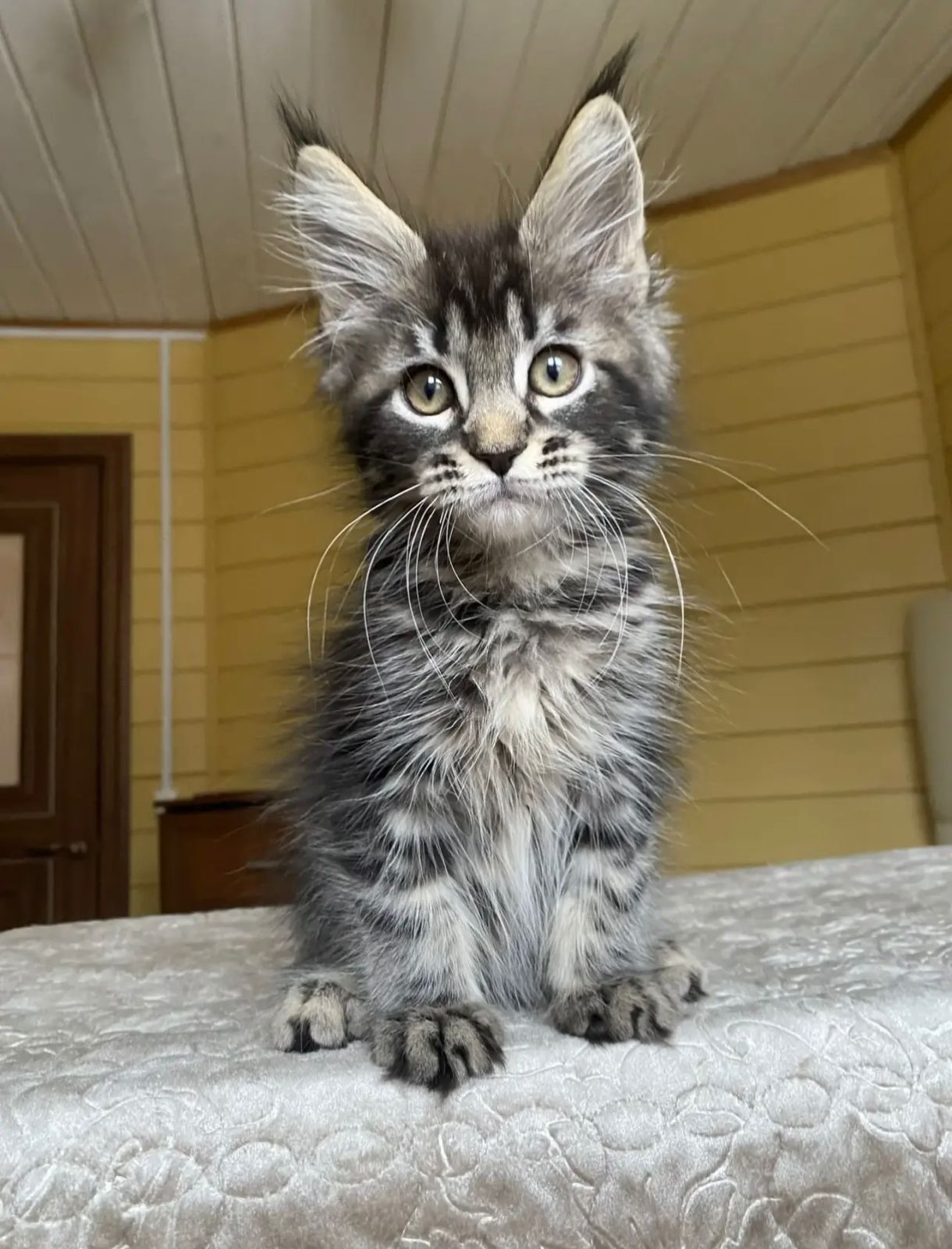 Infinity R thumbnail