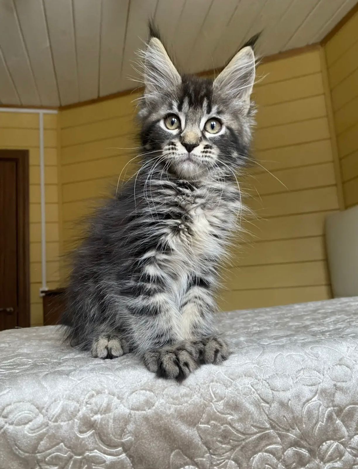 Infinity R thumbnail