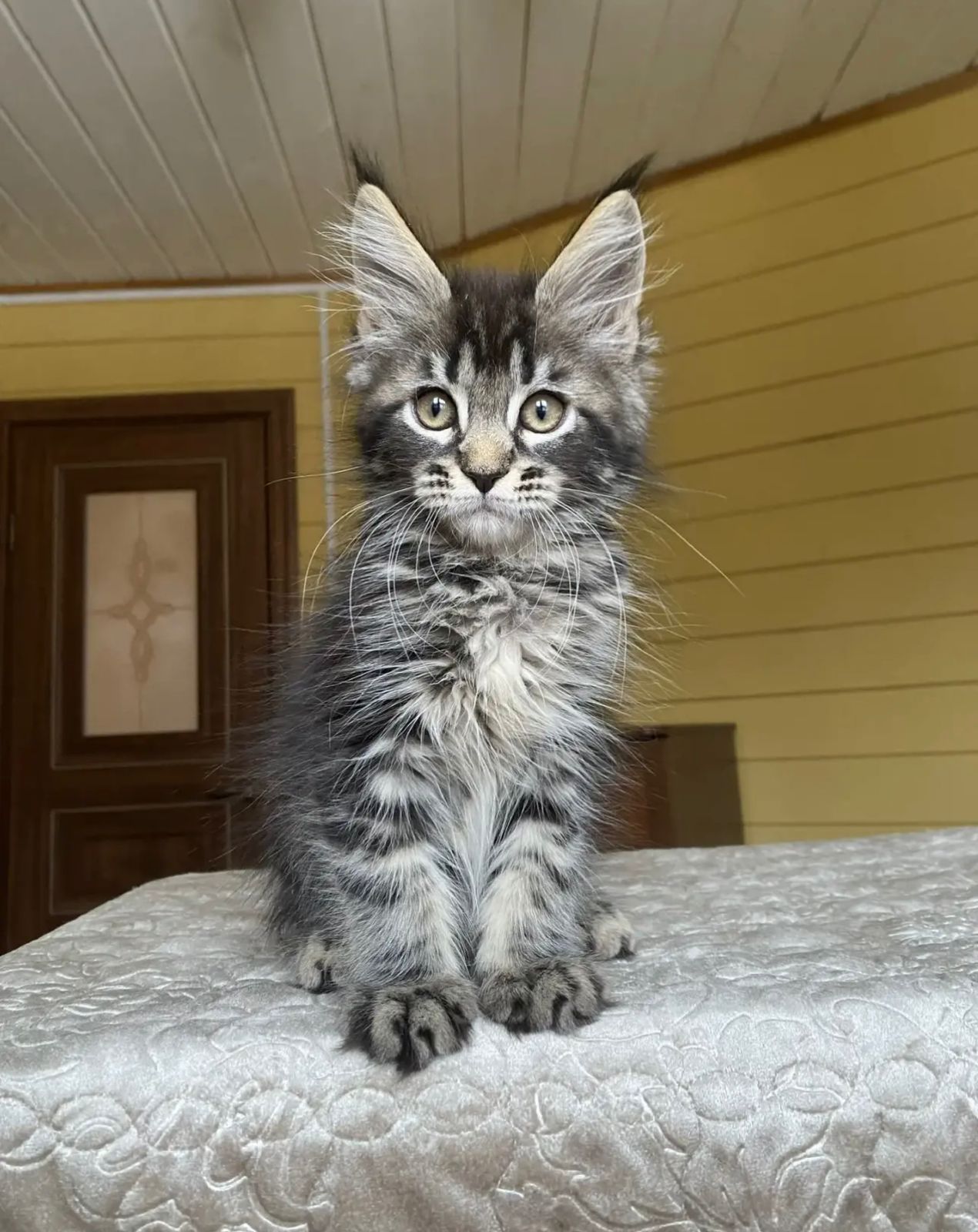 Infinity R thumbnail