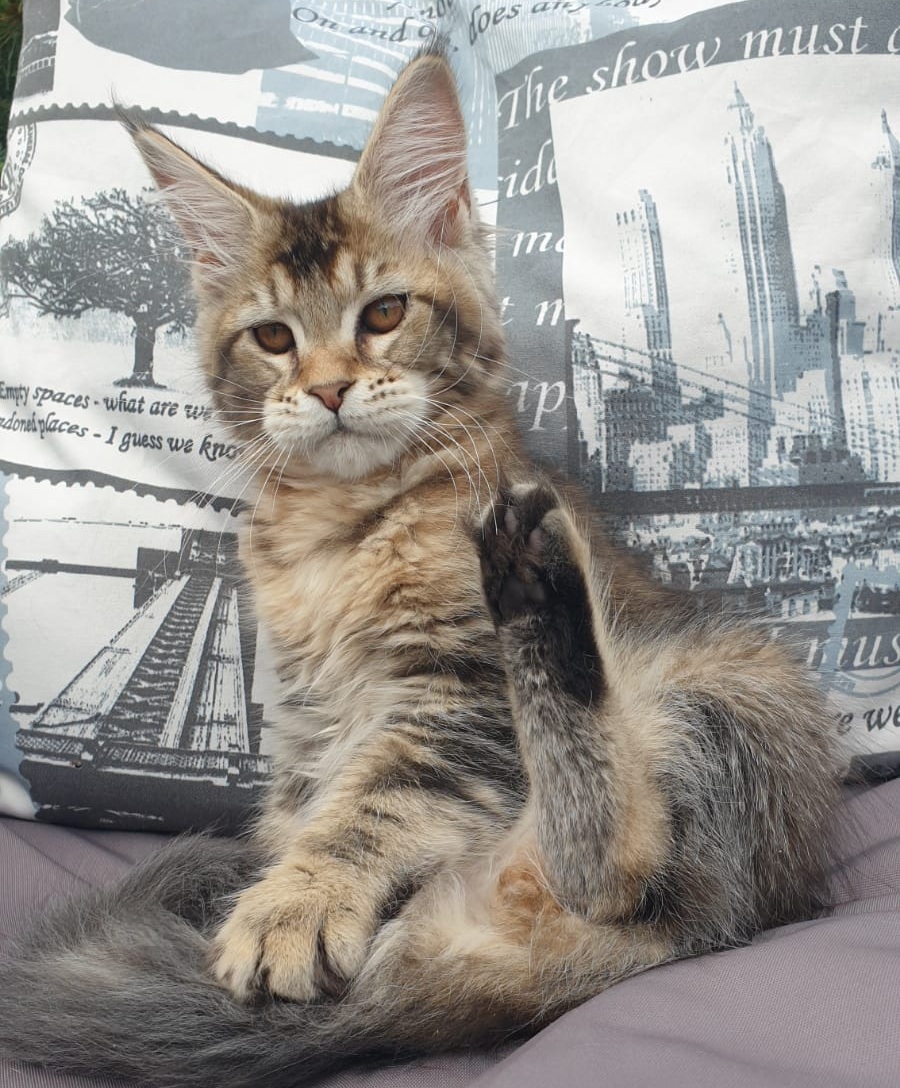 Ellie R