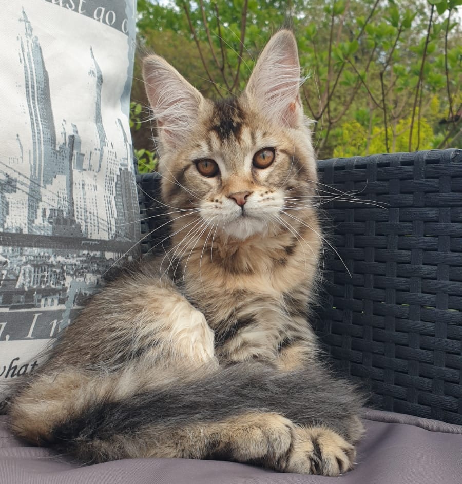 Ellie R