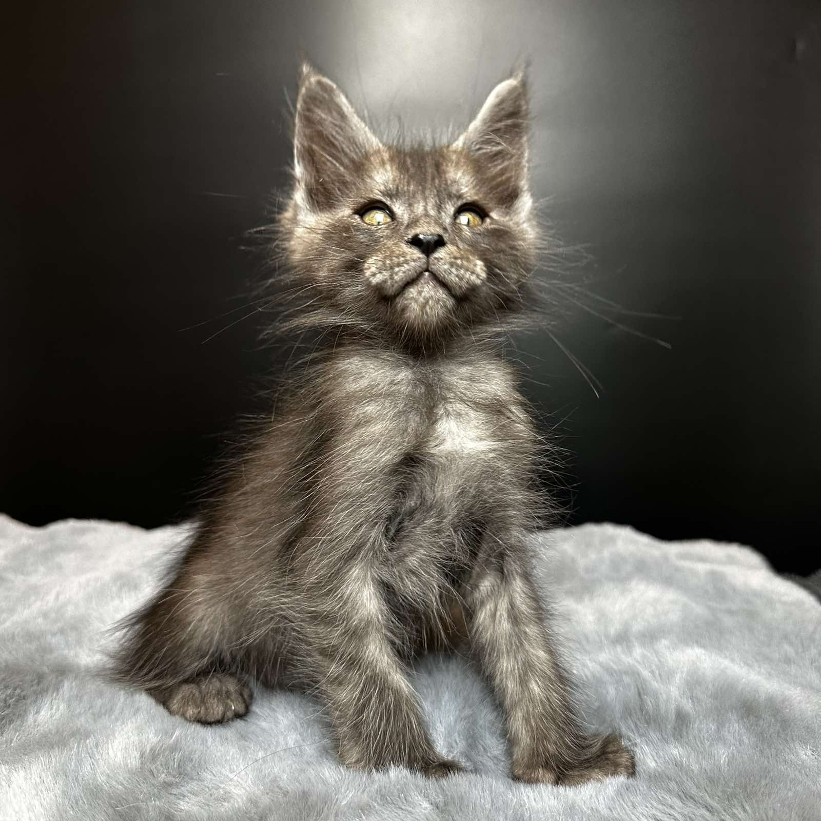 Benjamin U